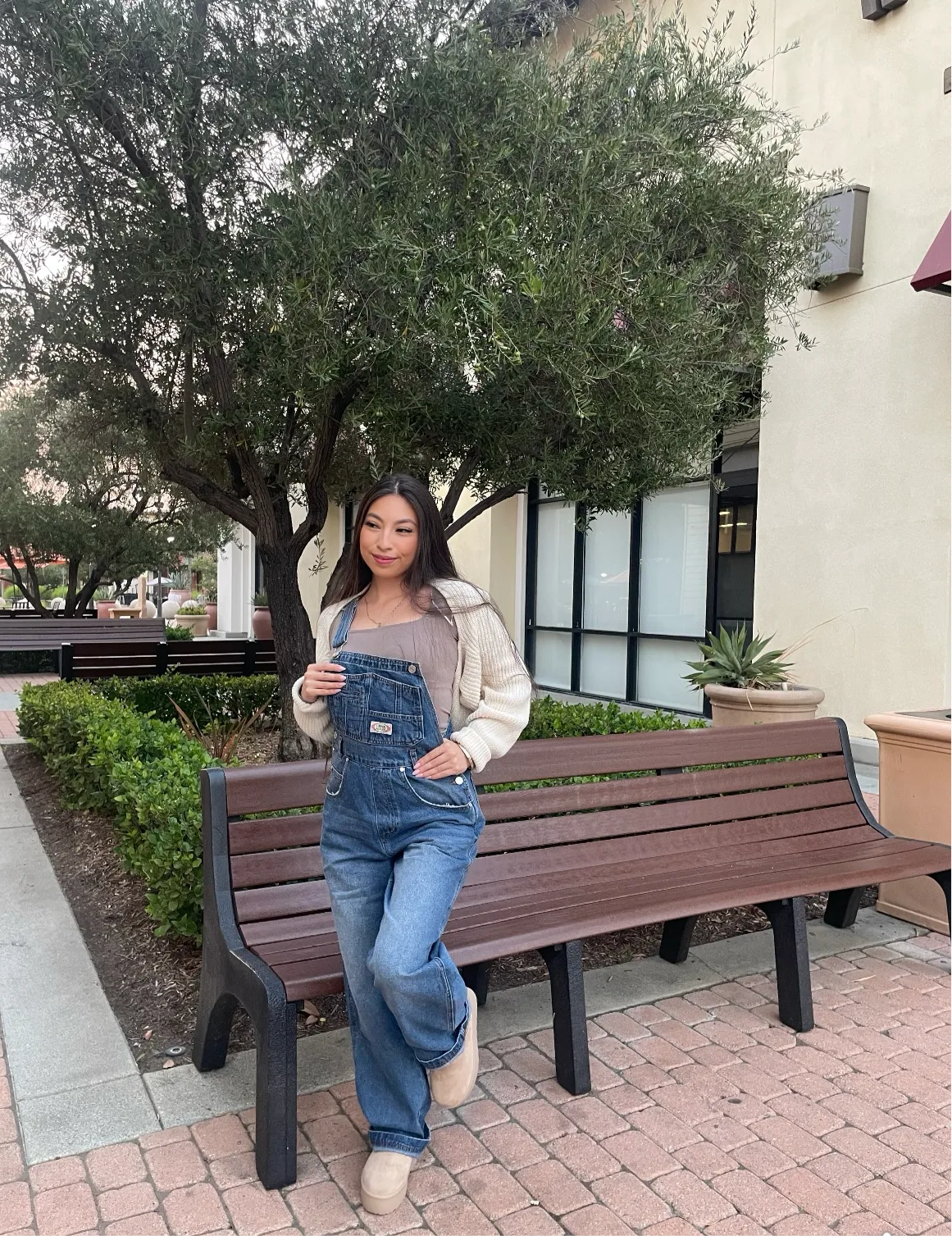 Denim Overalls (pants)